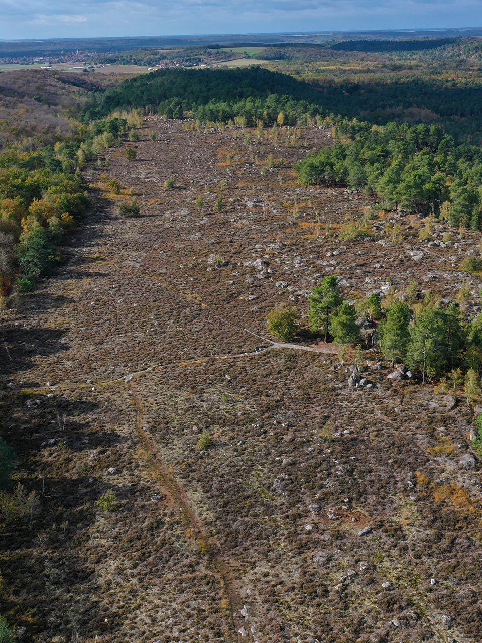 Photo aérienne de la lande sèche du Laris-qui-parle, dans l'ouest de la forêt de Fontainebleau